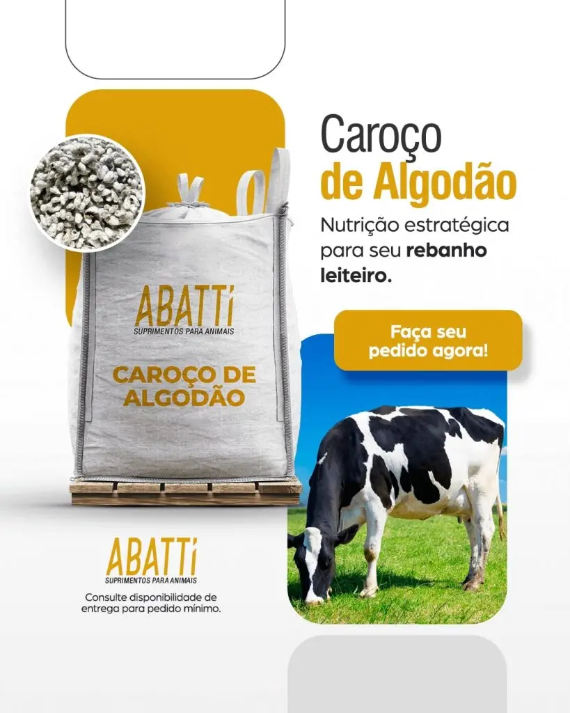 Caroço de Algodão a venda no RS